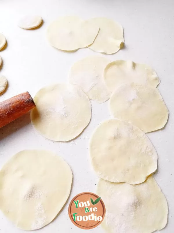 Dumplings stuffed with leek and pork