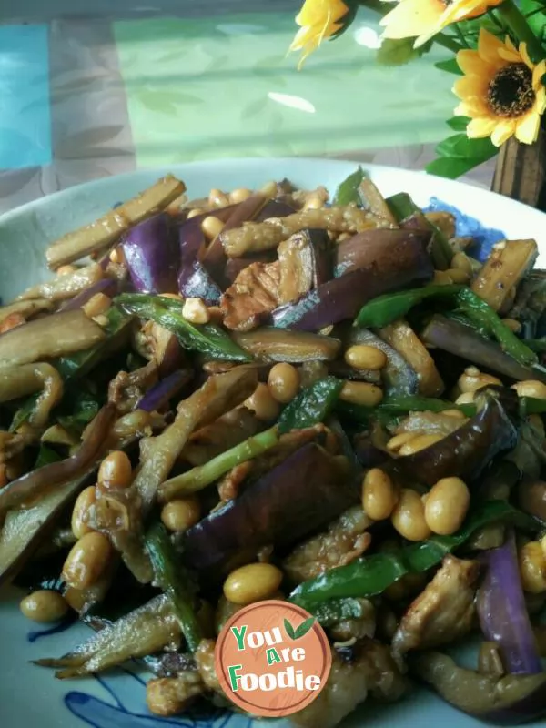 Braised-eggplant-with-soybean