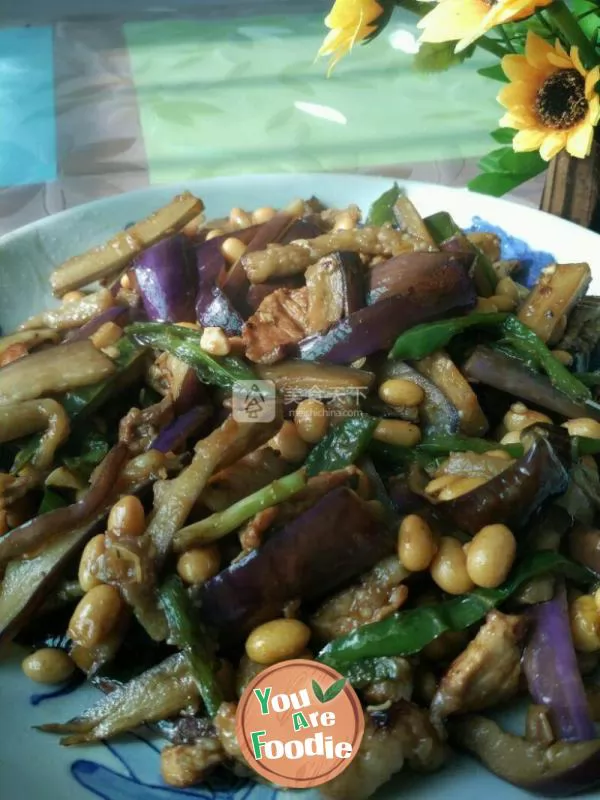 Braised eggplant with soybean