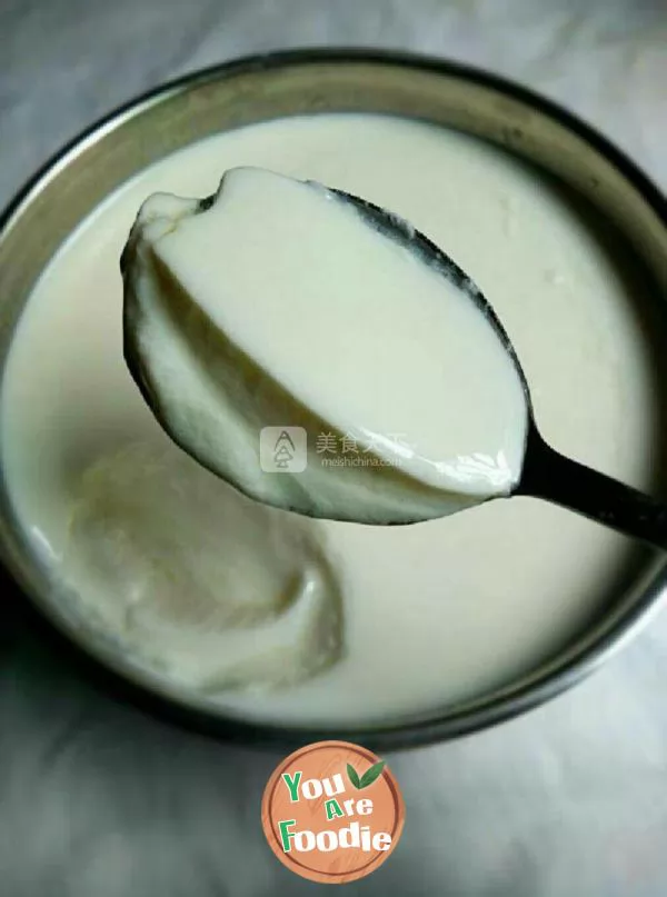 Homemade old yogurt