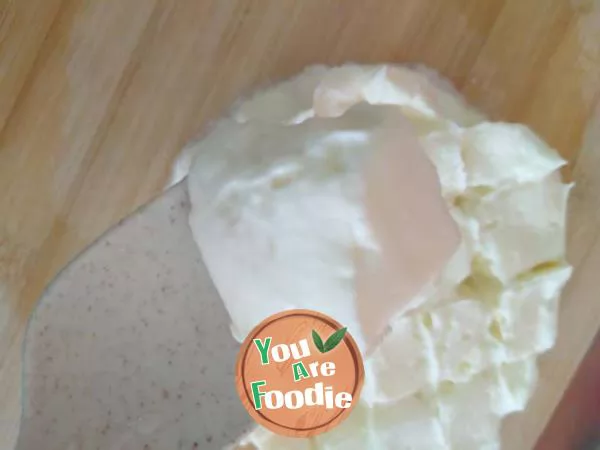 Handmade yoghurt powder to make Greek yoghurt (homemade yogurt)