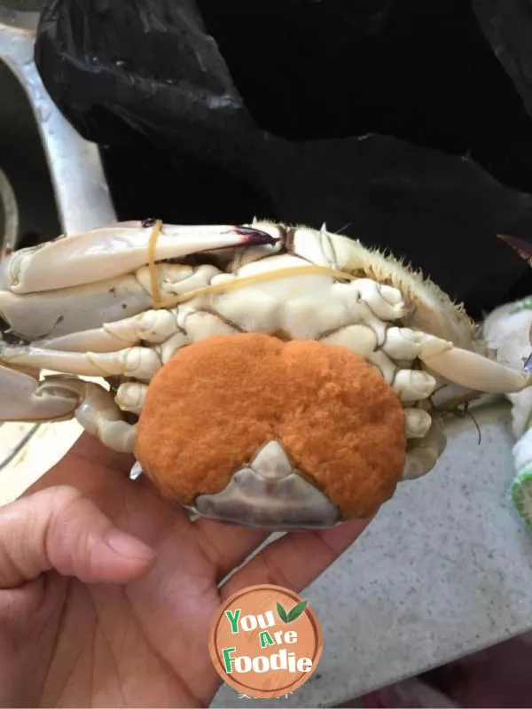 Fried eggs with crab seeds