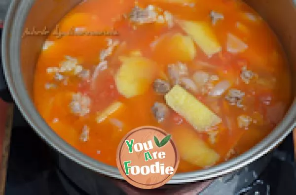 Stewed beef with tomato