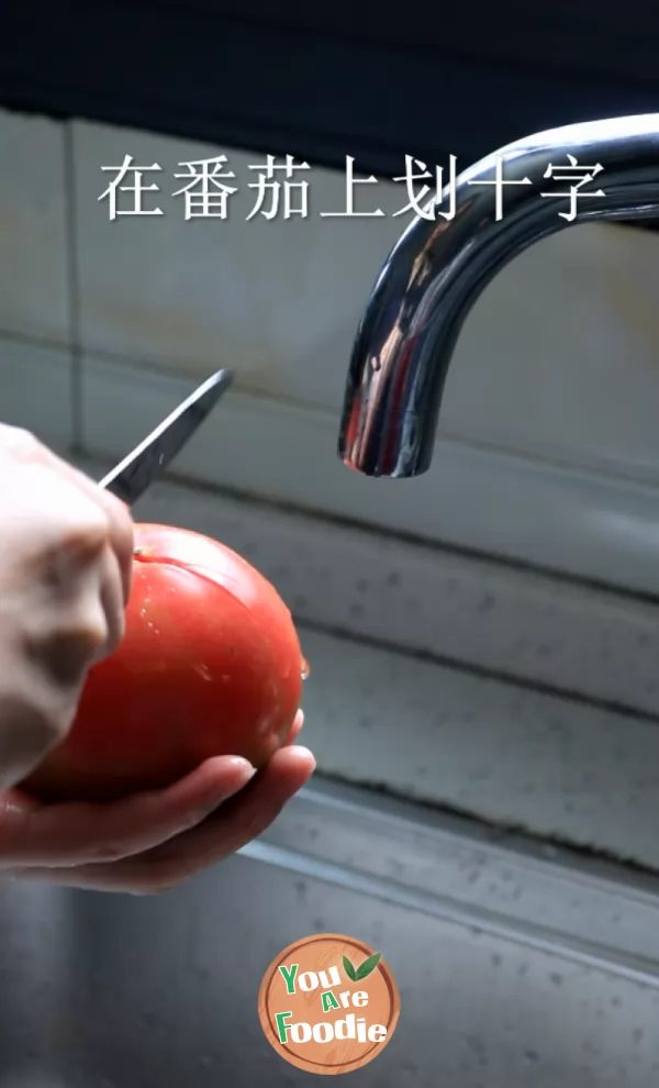 Zaoyu family | fish balls with tomato and vinegar