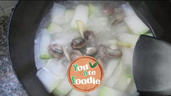 White gourd and clam soup