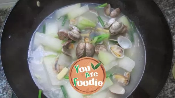 White gourd and clam soup