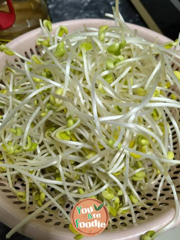 Stir fried Soybean Sprouts with Shredded Peppers