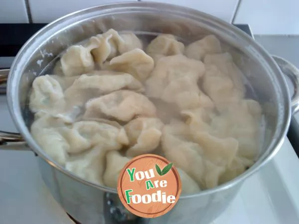 Five fresh dumplings