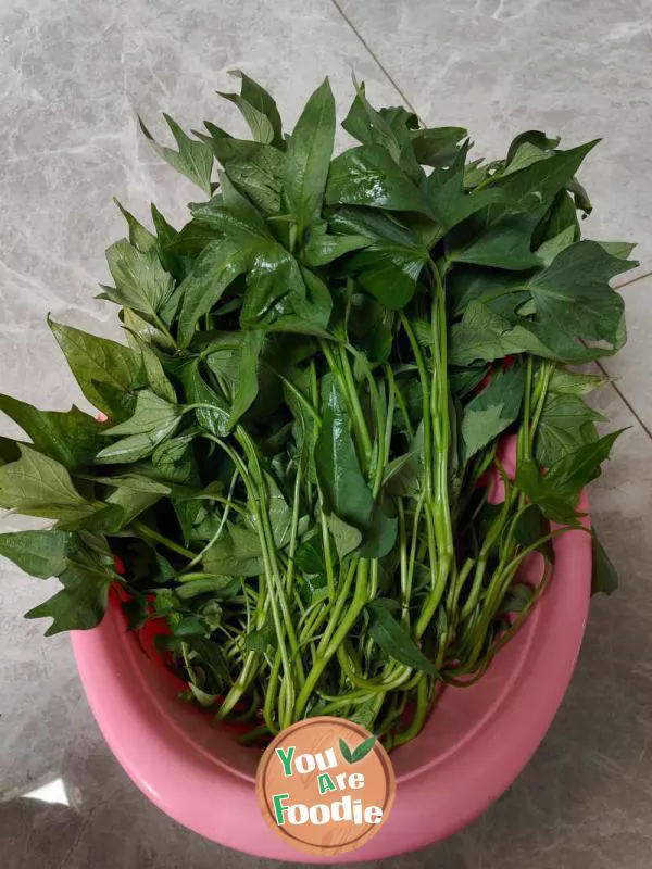 Sweet potato leaves with garlic