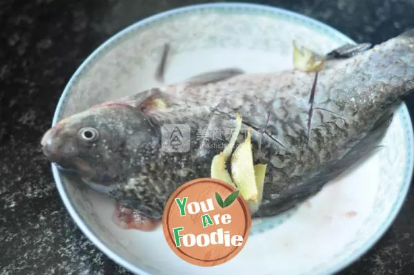 Carassius auratus in tomato sauce