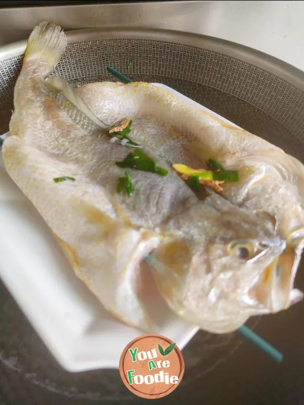 Steamed Yellow Croaker 