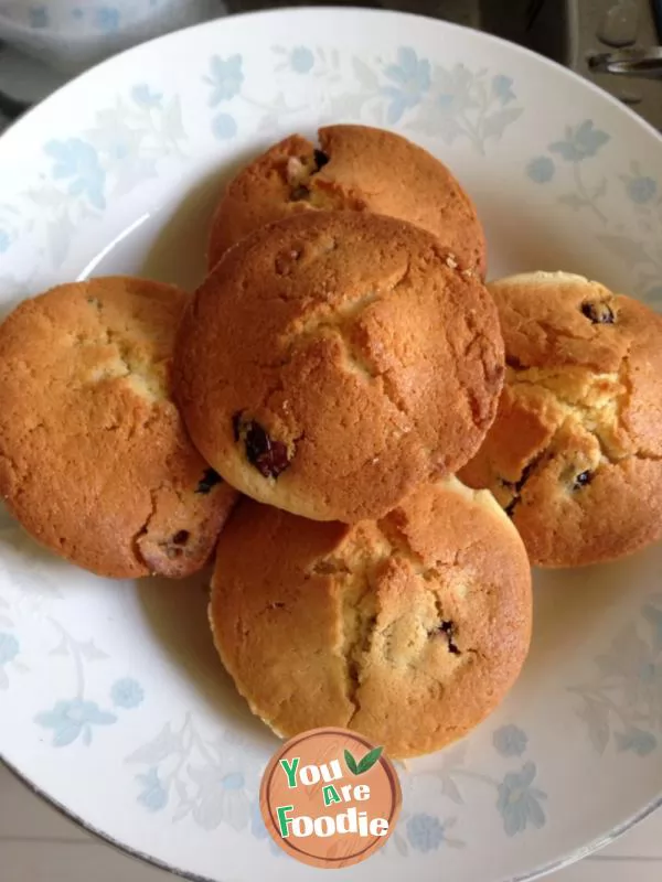 Cranberry Muffin Cake