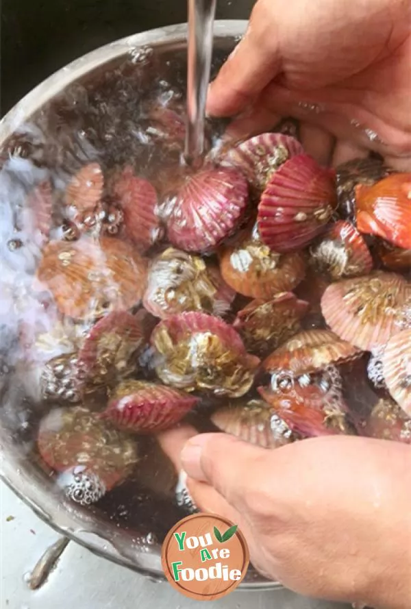 Steamed scallops -- a small seafood that is not enough to eat