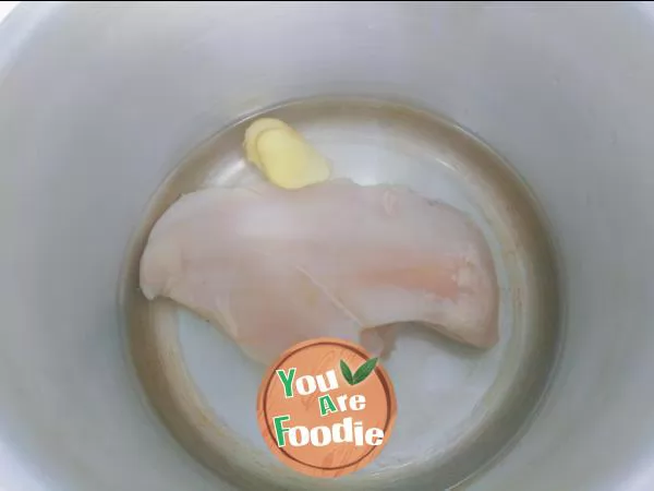 Low fat snack chicken breast dry shreds