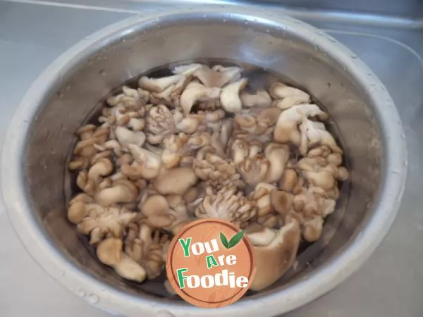 Chrysanthemum mushroom in oyster sauce
