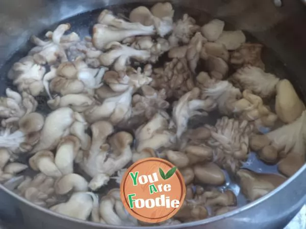 Chrysanthemum mushroom in oyster sauce
