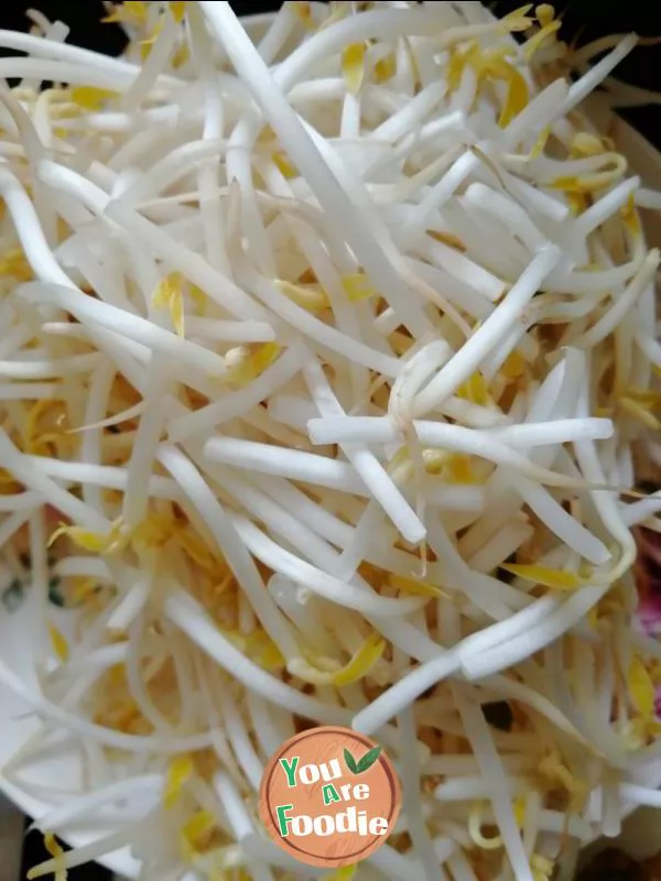 Gluten bean sprouts