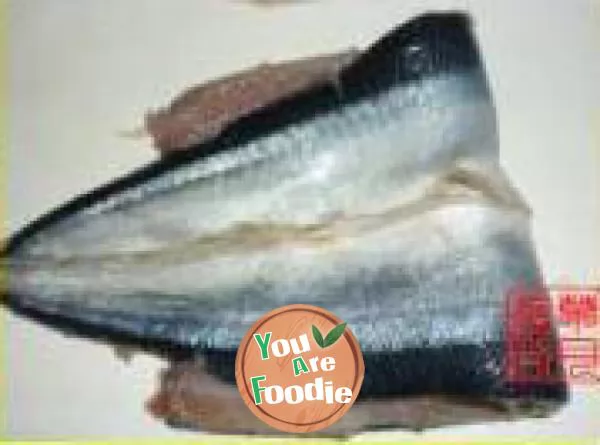 Italian saury