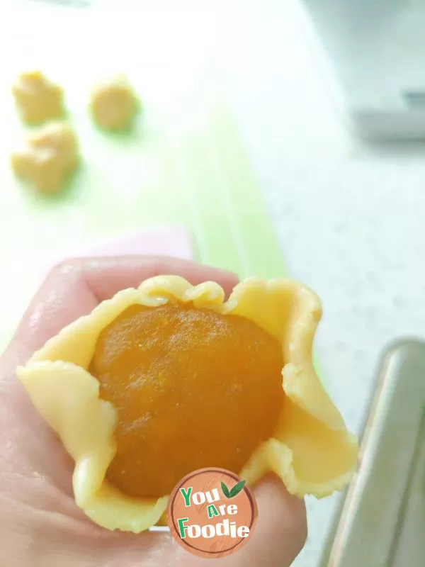 Cantonese pineapple egg yolk moon cake