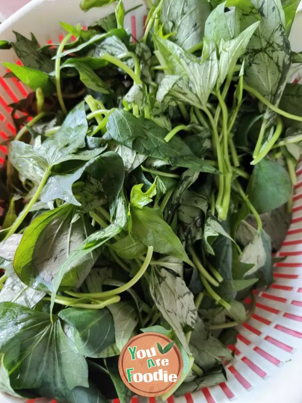 Stir fry sweet potato leaves with chili sauce