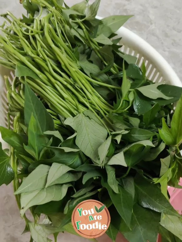 Stir fry sweet potato leaves with chili sauce