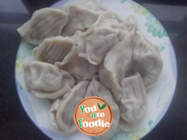 Onion Beef Dumplings