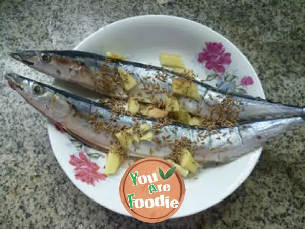 Cumin saury