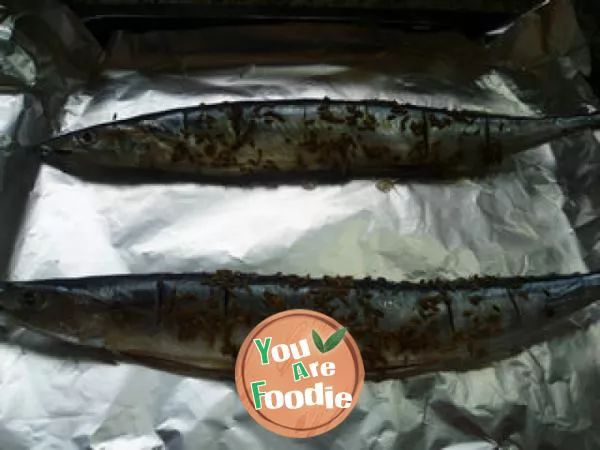 Cumin saury