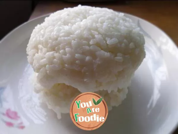 Rice hamburger