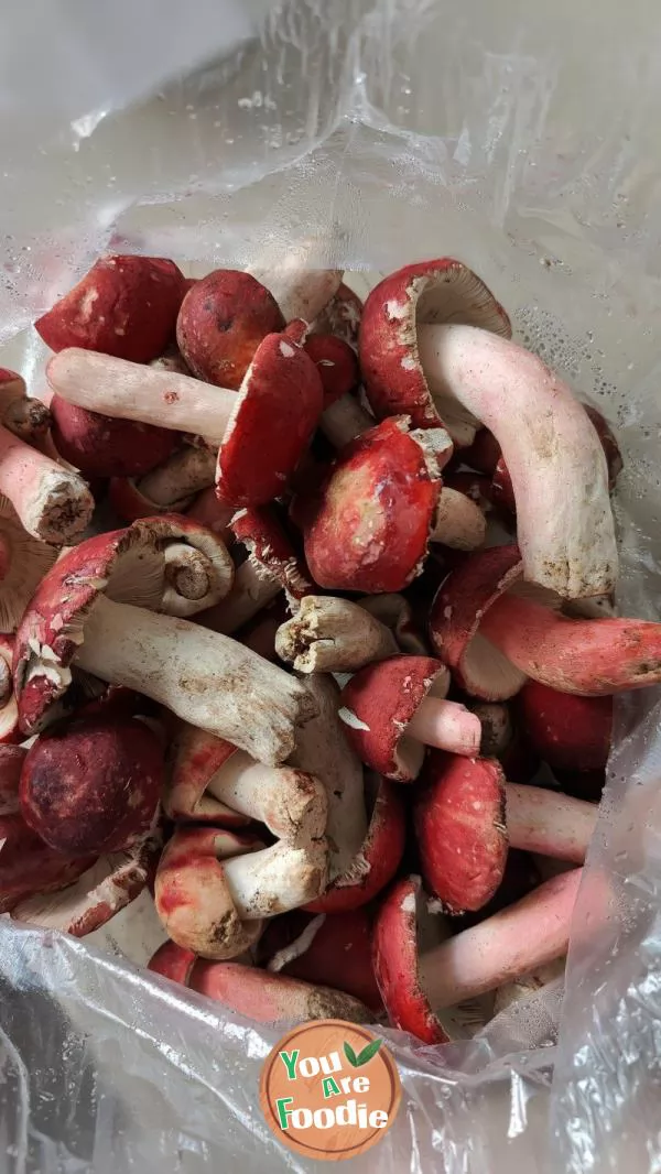 Stewed chicken with fresh red mushrooms