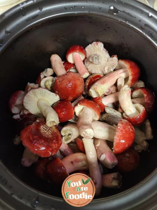 Stewed chicken with fresh red mushrooms