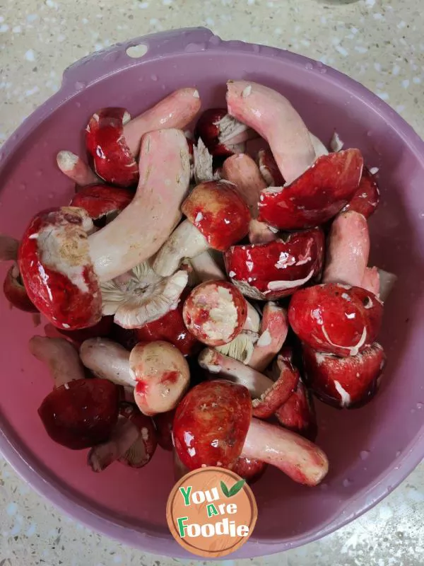 Stewed chicken with fresh red mushrooms