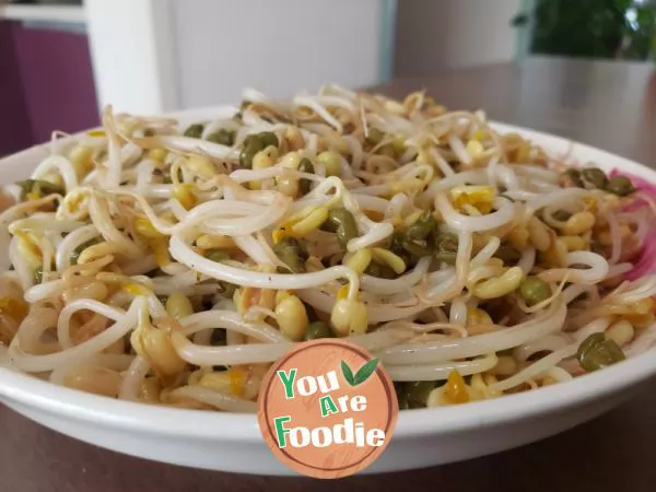 Stir fried mung bean sprouts