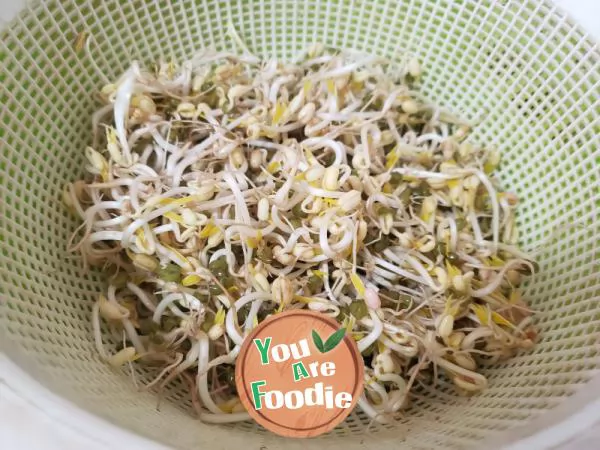 Stir fried mung bean sprouts