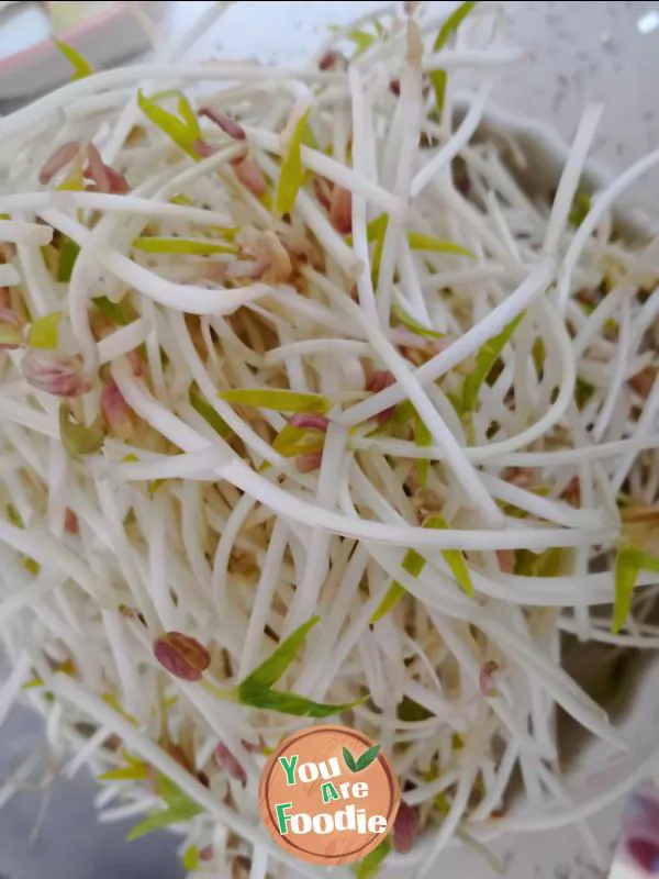 Stir fried bean sprouts