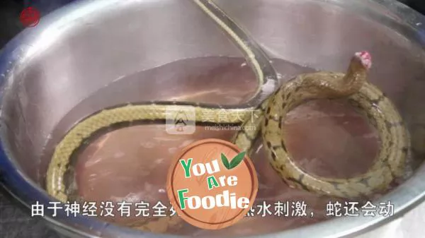 Hunan famous dish [braised snake with green pepper] with: snake killing method. Don't be timid