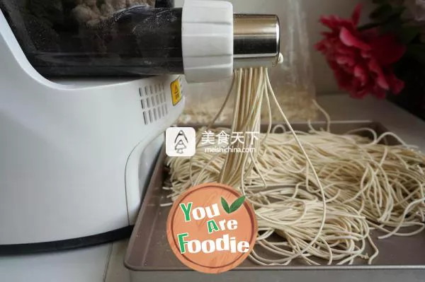 Fried noodles with shredded pork and cabbage