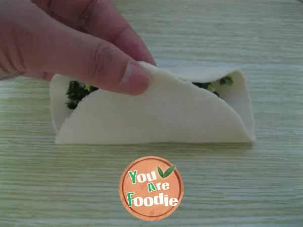 Fried dumplings