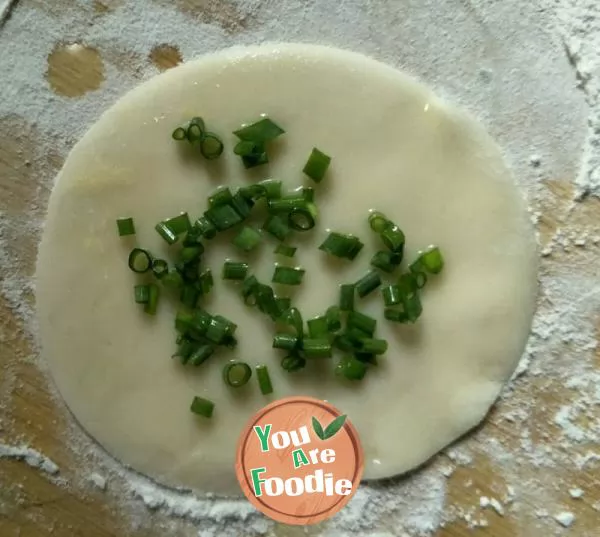 Scallion cake with dumpling skin