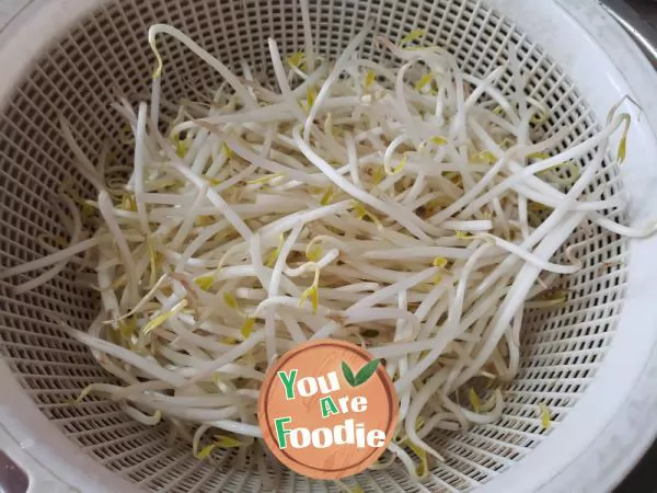 Fried mung bean sprouts with leeks