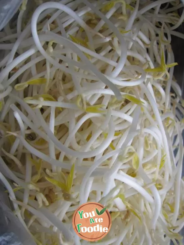 Fried meat with mung bean sprouts