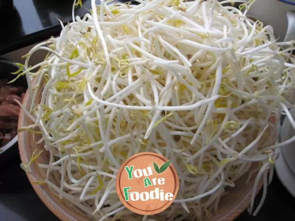 Fried meat with mung bean sprouts