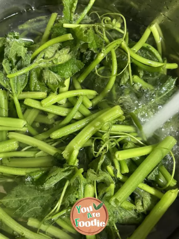 Fermented bean curd melon seedlings