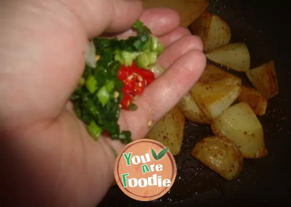 [fried potatoes]