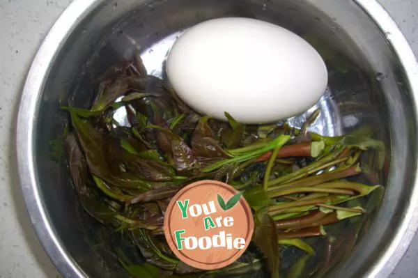 Fried goose eggs with spring sprouts