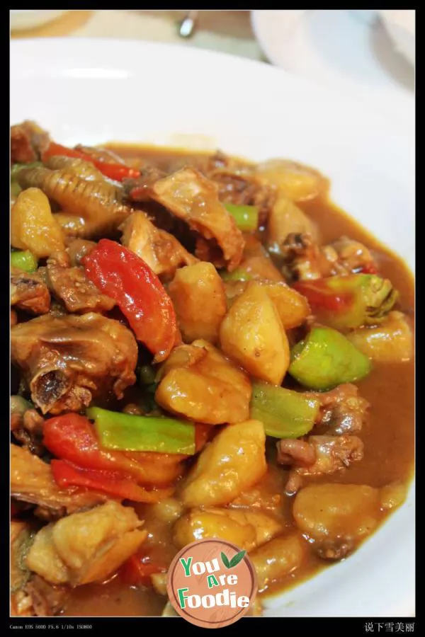 Xinjiang Dapan chicken