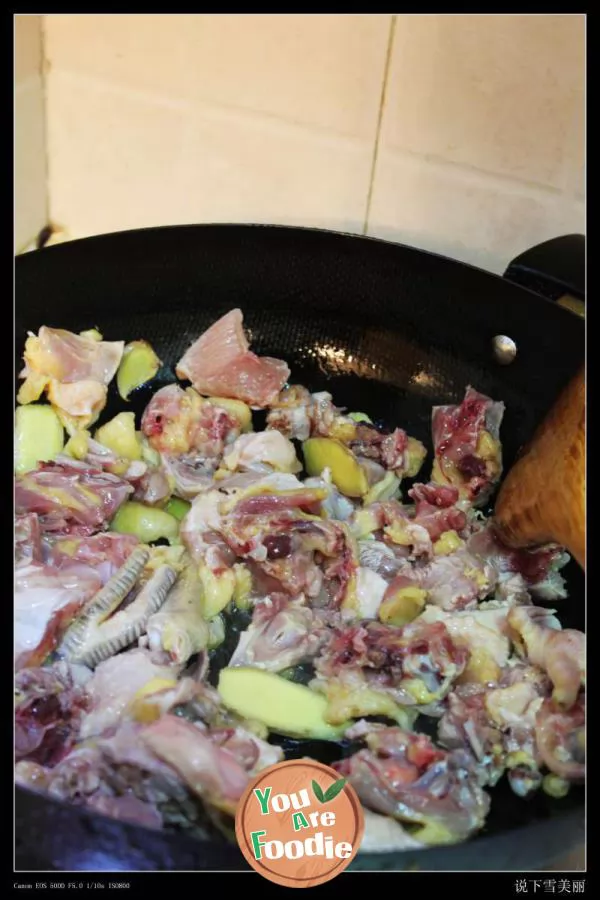Xinjiang Dapan chicken