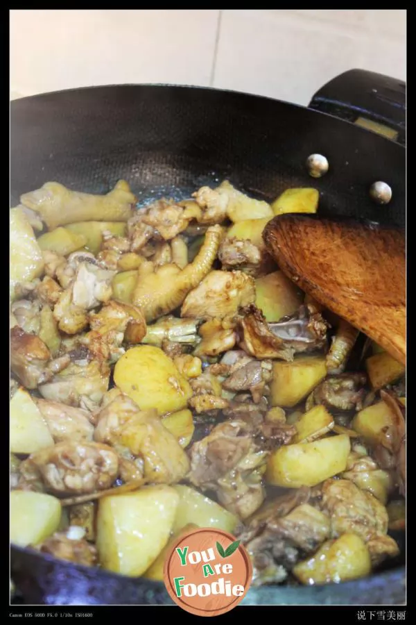 Xinjiang Dapan chicken