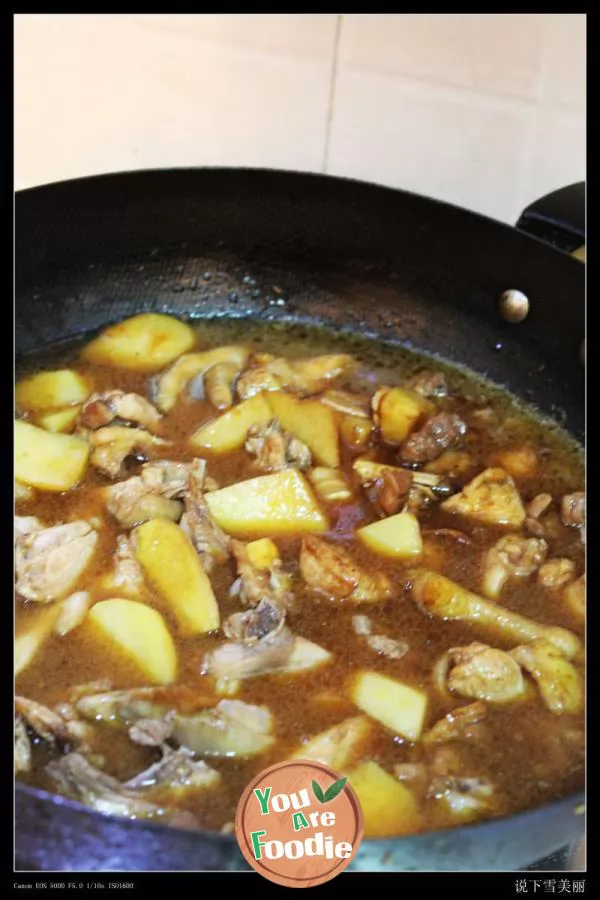 Xinjiang Dapan chicken