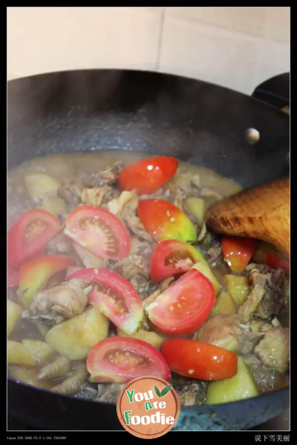 Xinjiang Dapan chicken